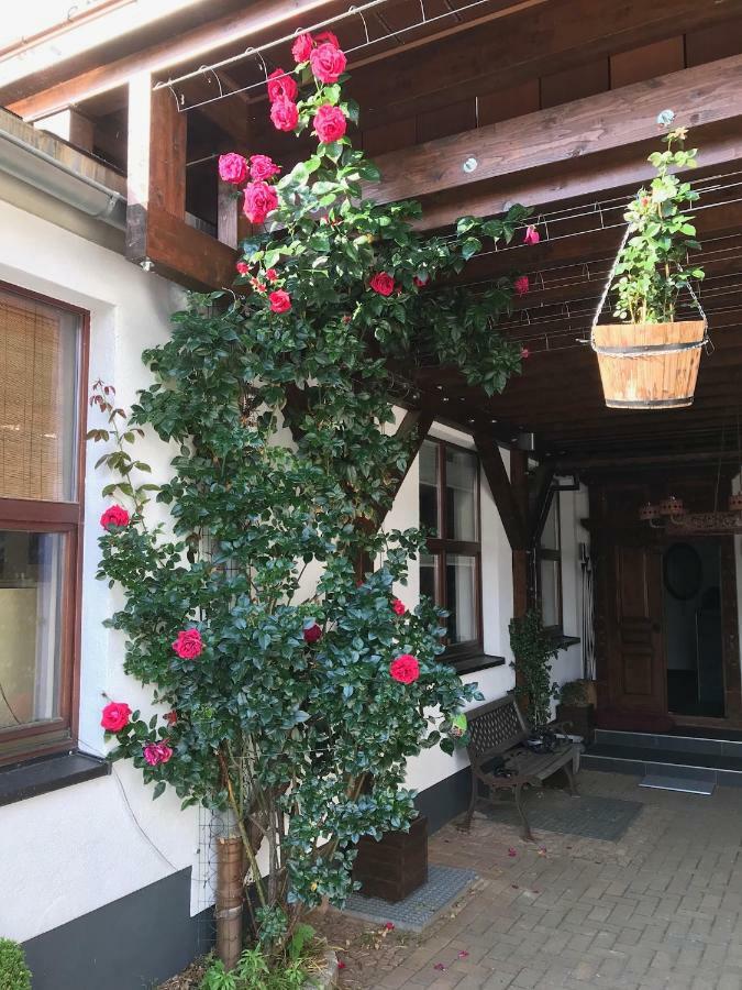 Wieko Ferienwohnungen Plauen Zewnętrze zdjęcie